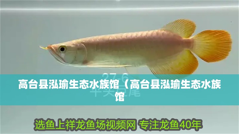 高臺縣泓瑜生態水族館（高臺縣泓瑜生態水族館