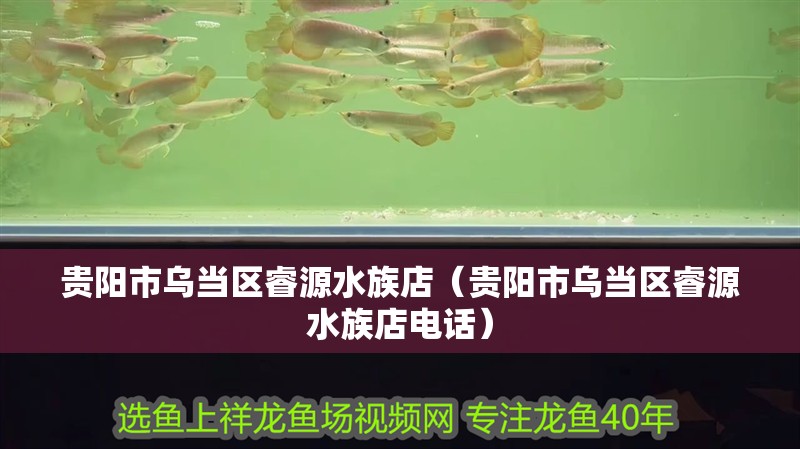 貴陽市烏當區(qū)睿源水族店（貴陽市烏當區(qū)睿源水族店電話）