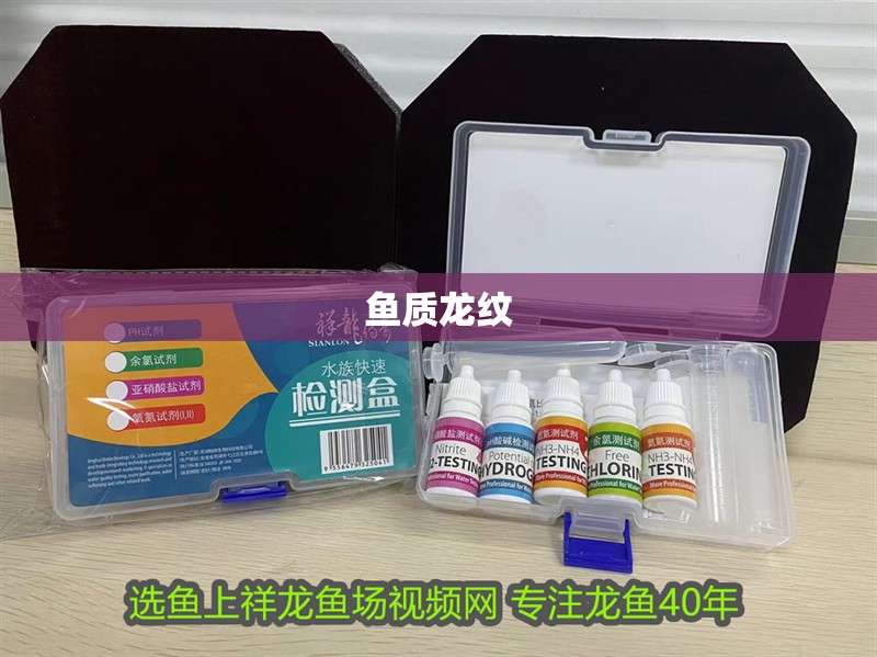 魚(yú)質(zhì)龍紋