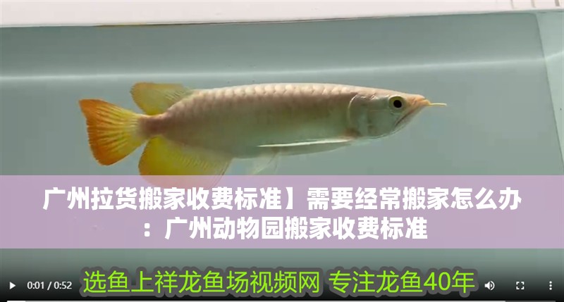 廣州拉貨搬家收費標準】需要經常搬家怎么辦：廣州動物園搬家收費標準