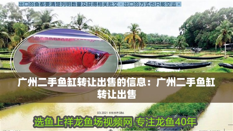 廣州二手魚缸轉讓出售的信息：廣州二手魚缸轉讓出售