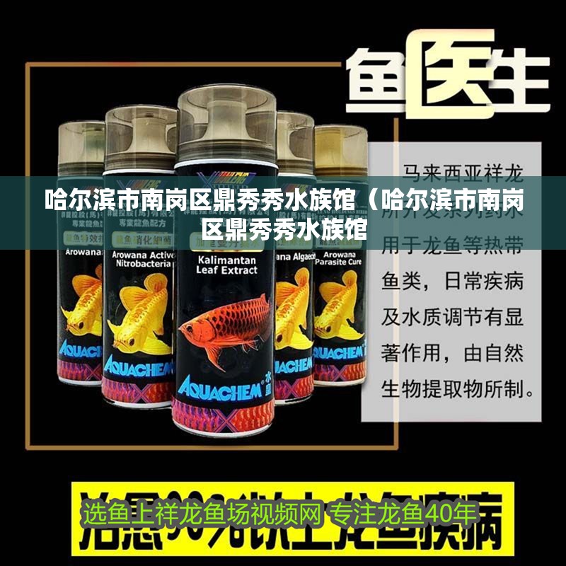 哈爾濱市南崗區(qū)鼎秀秀水族館（哈爾濱市南崗區(qū)鼎秀秀水族館