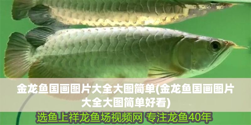 金龍魚國畫圖片大全大圖簡(jiǎn)單(金龍魚國畫圖片大全大圖簡(jiǎn)單好看)