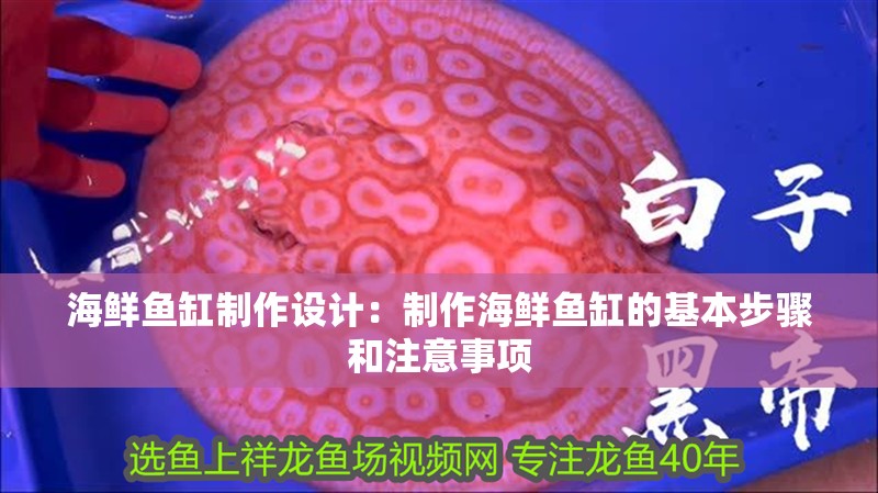 海鮮魚缸制作設計：制作海鮮魚缸的基本步驟和注意事項