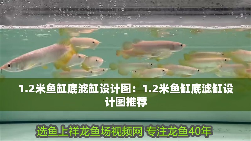 1.2米魚缸底濾缸設計圖：1.2米魚缸底濾缸設計圖推薦