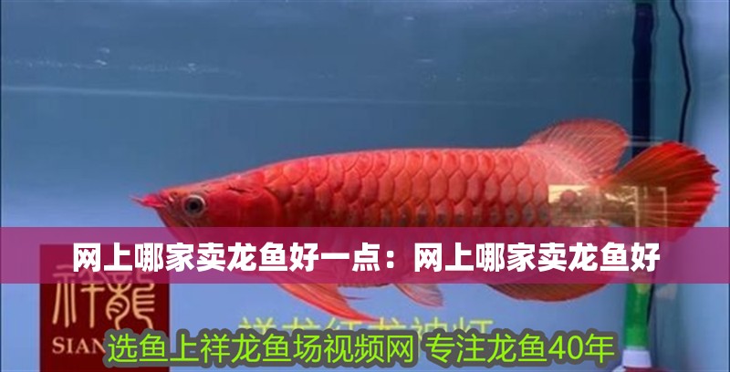 網(wǎng)上哪家賣龍魚好一點：網(wǎng)上哪家賣龍魚好