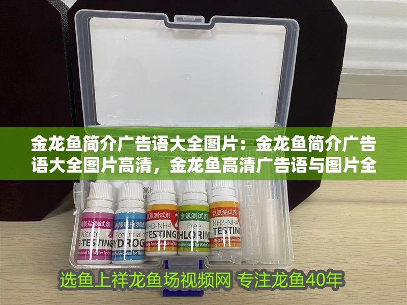 金龍魚簡介廣告語大全圖片：金龍魚簡介廣告語大全圖片高清，金龍魚高清廣告語與圖片全
