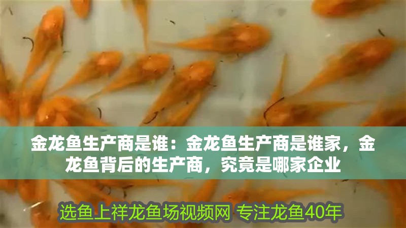 金龍魚生產(chǎn)商是誰：金龍魚生產(chǎn)商是誰家，金龍魚背后的生產(chǎn)商，究竟是哪家企業(yè)
