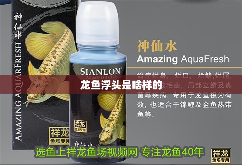 龍魚浮頭是啥樣的