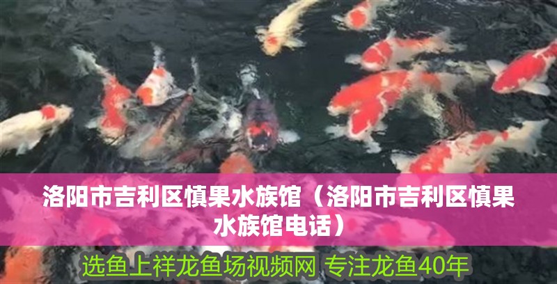 洛陽市吉利區慎果水族館（洛陽市吉利區慎果水族館電話）