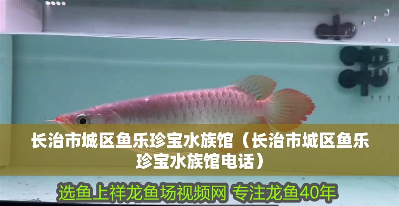 長(zhǎng)治市城區(qū)魚樂珍寶水族館（長(zhǎng)治市城區(qū)魚樂珍寶水族館電話）