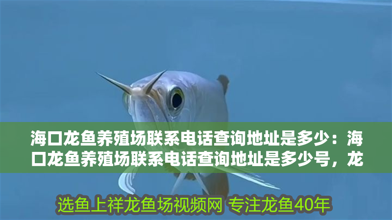海口龍魚養殖場聯系電話查詢地址是多少：海口龍魚養殖場聯系電話查詢地址是多少號，龍魚養殖場聯系電話及