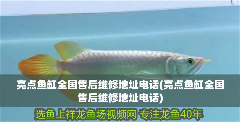 亮點魚缸全國售后維修地址電話(亮點魚缸全國售后維修地址電話)
