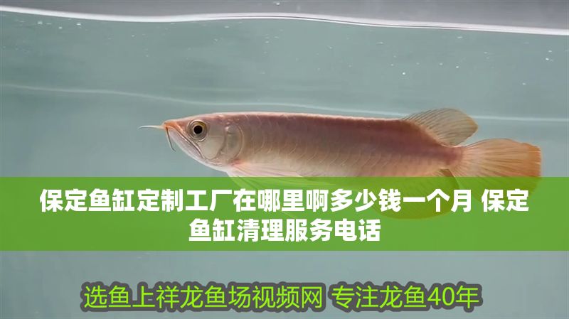 保定魚缸定制工廠在哪里啊多少錢一個月 保定魚缸清理服務電話