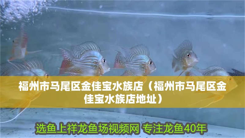 福州市馬尾區(qū)金佳寶水族店（福州市馬尾區(qū)金佳寶水族店地址）