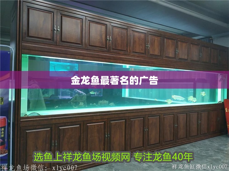 金龍魚最著名的廣告