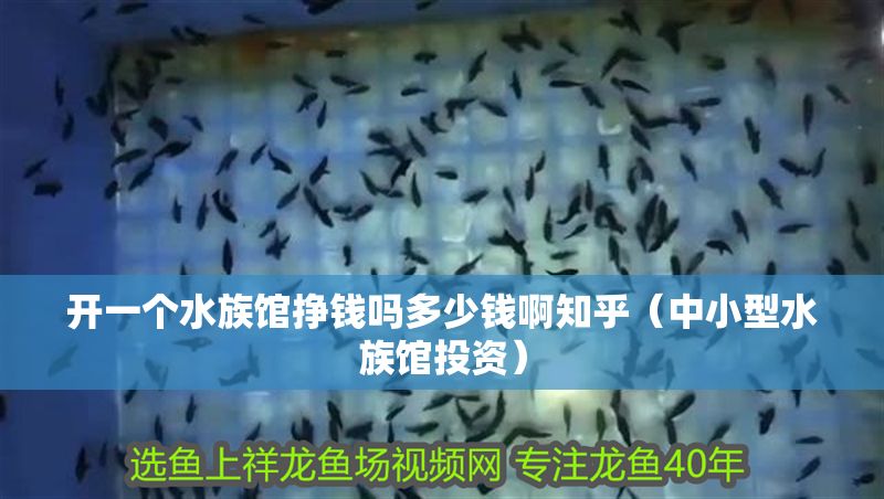開一個水族館掙錢嗎多少錢啊知乎（中小型水族館投資）
