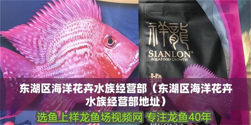 東湖區海洋花卉水族經營部（東湖區海洋花卉水族經營部地址）