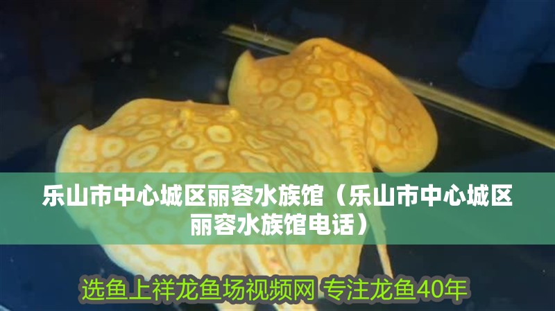 樂山市中心城區麗容水族館（樂山市中心城區麗容水族館電話）