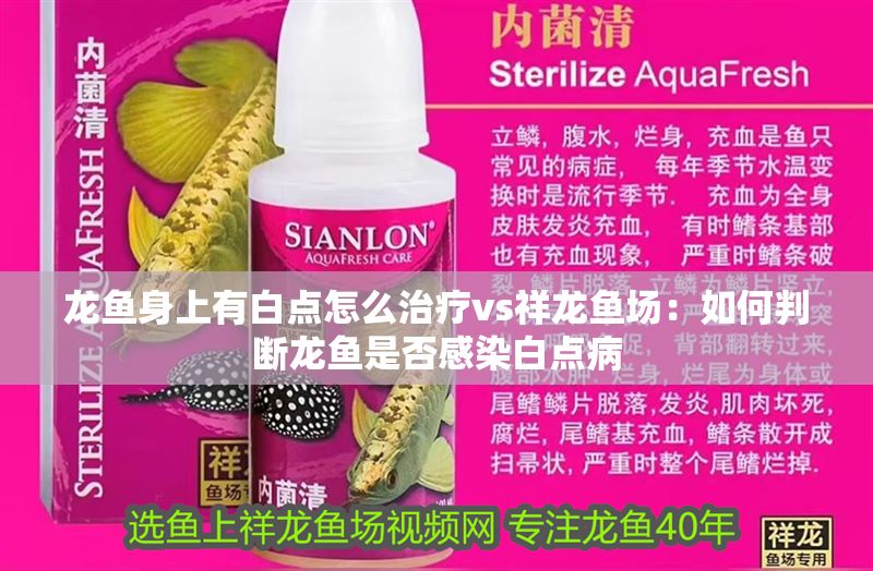 龍魚身上有白點(diǎn)怎么治療vs祥龍魚場(chǎng)：如何判斷龍魚是否感染白點(diǎn)病