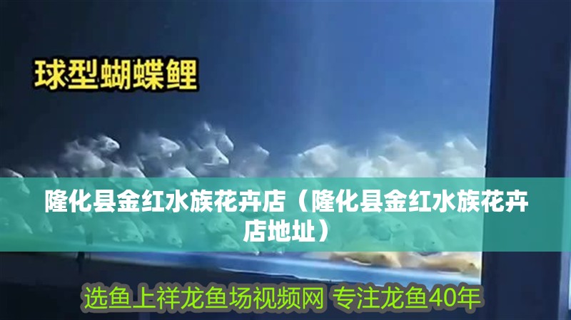 隆化縣金紅水族花卉店（隆化縣金紅水族花卉店地址）