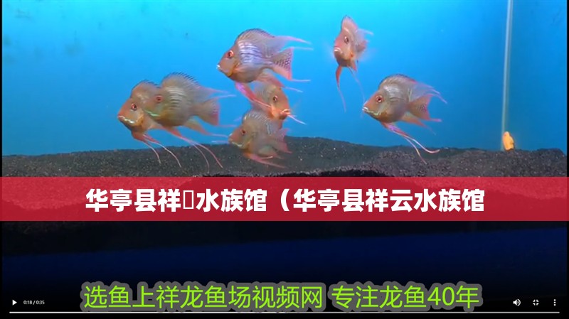 華亭縣祥雲水族館（華亭縣祥云水族館