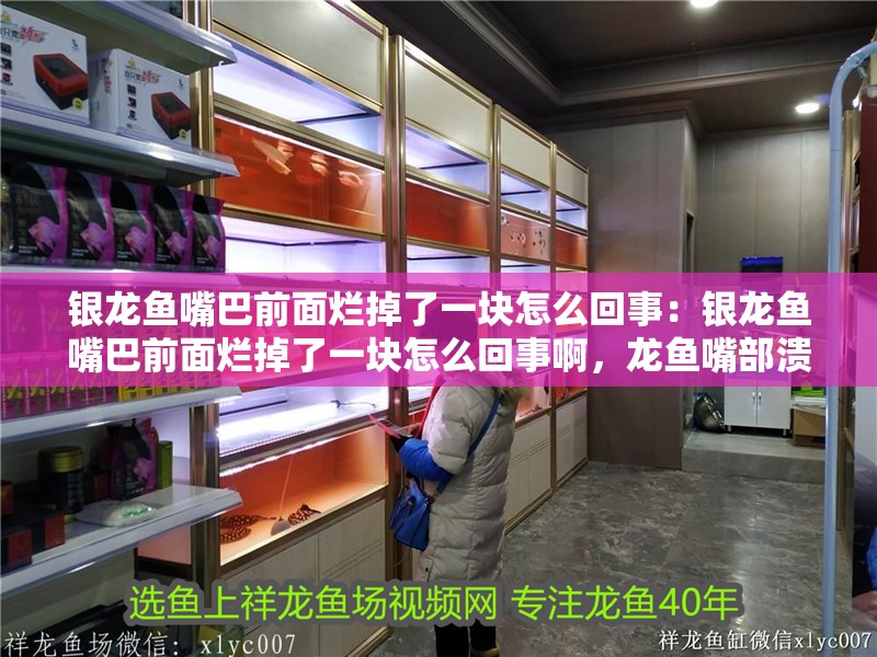 銀龍魚嘴巴前面爛掉了一塊怎么回事：銀龍魚嘴巴前面爛掉了一塊怎么回事啊，龍魚嘴部潰爛原因解析與