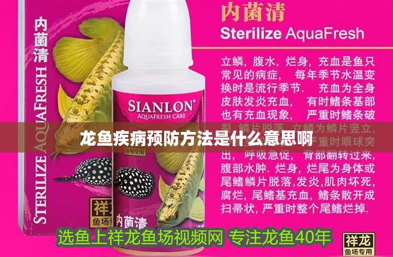 龍魚疾病預(yù)防方法是什么意思啊
