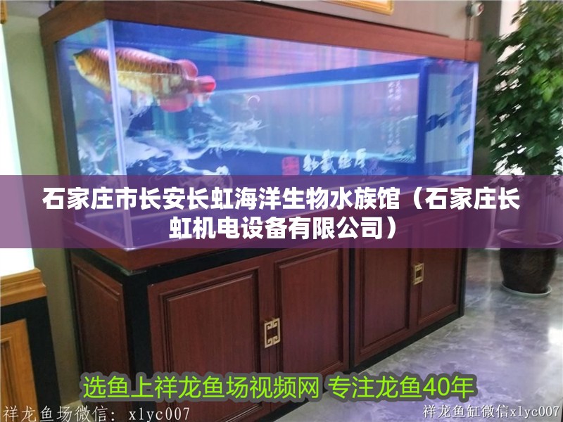 石家莊市長(zhǎng)安長(zhǎng)虹海洋生物水族館（石家莊長(zhǎng)虹機(jī)電設(shè)備有限公司）