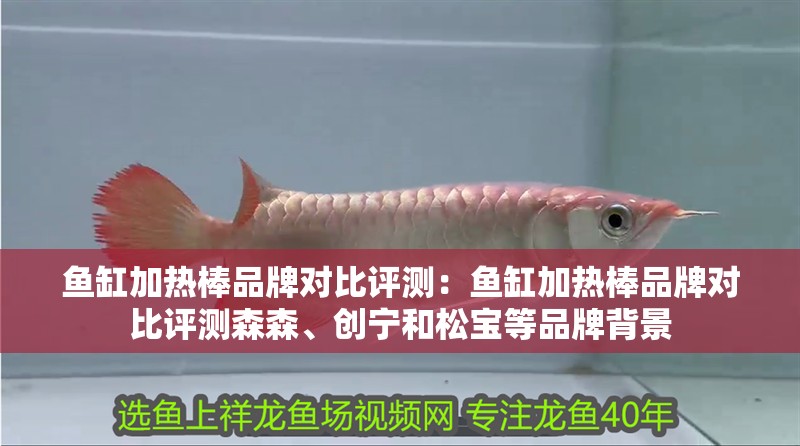 魚缸加熱棒品牌對比評測：魚缸加熱棒品牌對比評測森森、創寧和松寶等品牌背景