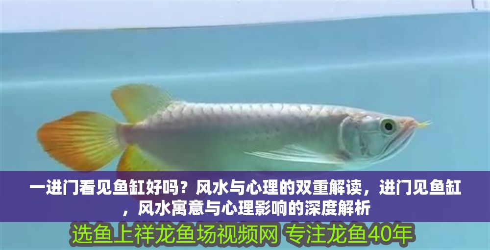 一進門看見魚缸好嗎？風水與心理的雙重解讀，進門見魚缸，風水寓意與心理影響的深度解析