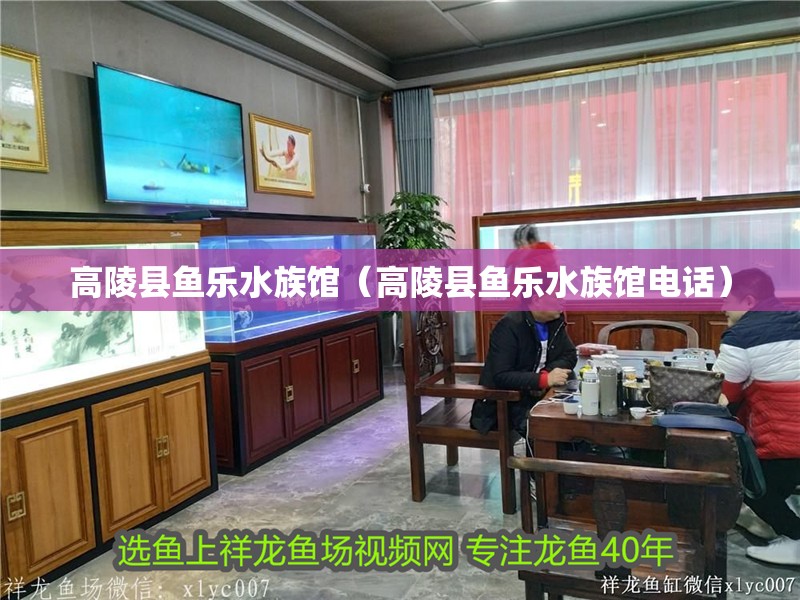 高陵縣魚樂水族館（高陵縣魚樂水族館電話） 高陵縣魚樂水族館（高陵縣魚樂水族館電話） 全國水族館企業(yè)名錄 第2張