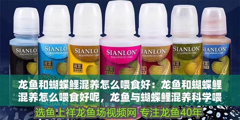 龍魚和蝴蝶鯉混養怎么喂食好：龍魚和蝴蝶鯉混養怎么喂食好呢，龍魚與蝴蝶鯉混養科學喂食