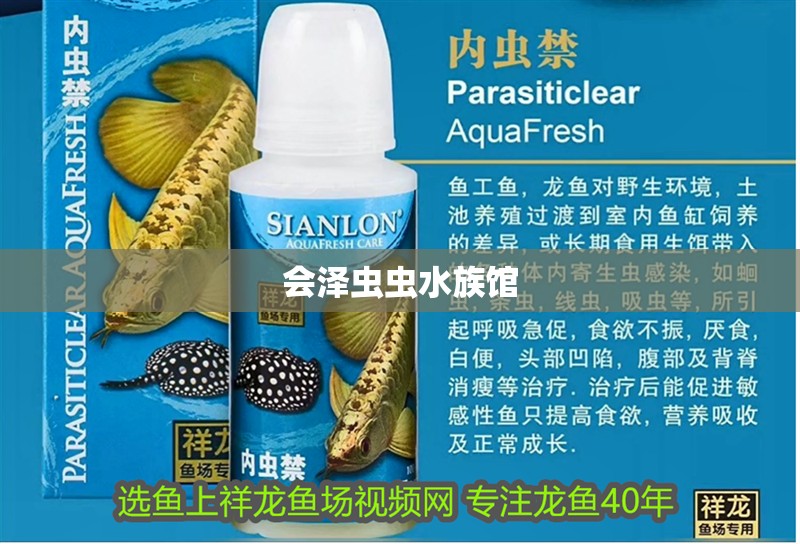 會澤蟲蟲水族館 會澤蟲蟲水族館 全國水族館企業名錄 第2張