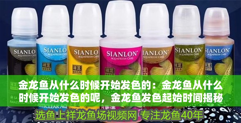 金龍魚從什么時候開始發色的：金龍魚從什么時候開始發色的呢，金龍魚發色起始時間揭秘