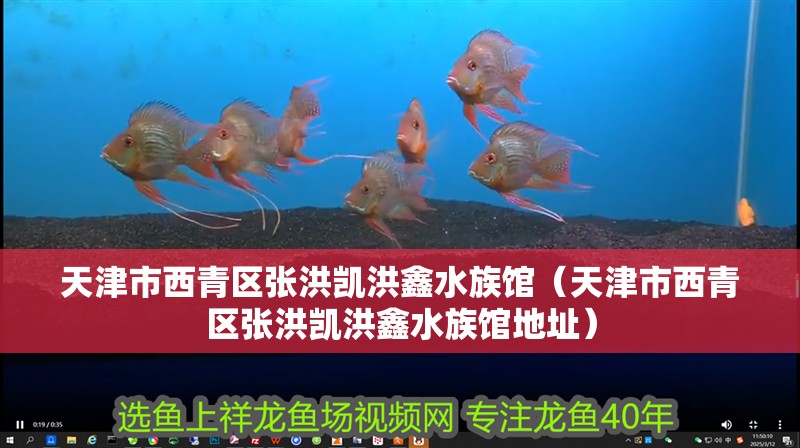 天津市西青區張洪凱洪鑫水族館（天津市西青區張洪凱洪鑫水族館地址）