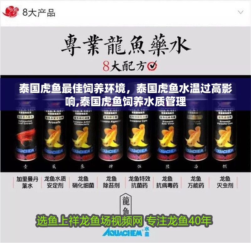 泰國虎魚最佳飼養環境，泰國虎魚水溫過高影響,泰國虎魚飼養水質管理