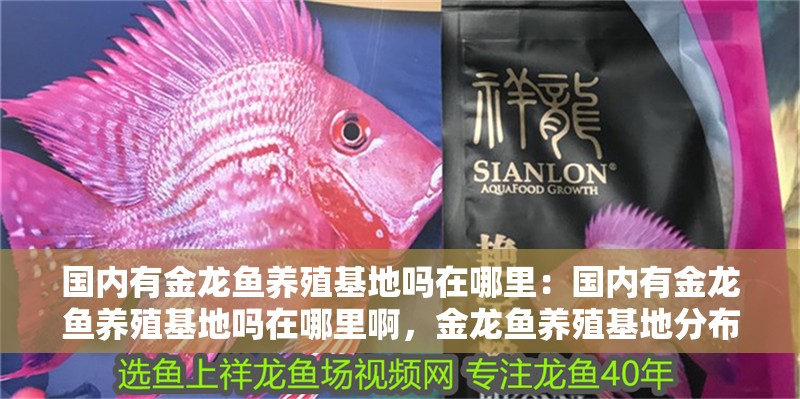 國內有金龍魚養殖基地嗎在哪里：國內有金龍魚養殖基地嗎在哪里啊，金龍魚養殖基地分布及地點探