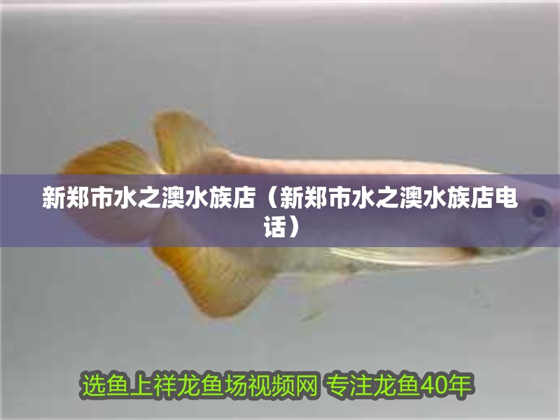 新鄭市水之澳水族店（新鄭市水之澳水族店電話） 新鄭市水之澳水族店（新鄭市水之澳水族店電話） 全國水族館企業名錄 第2張