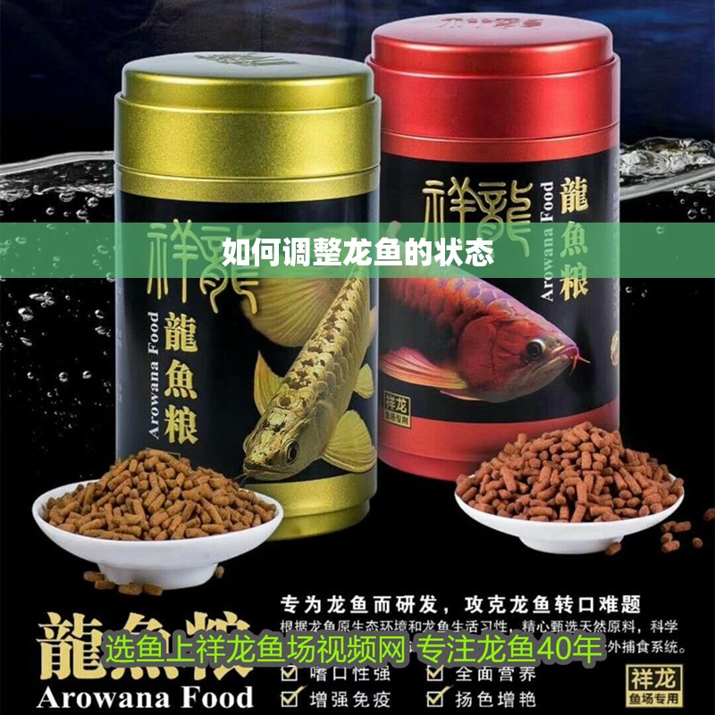 如何調(diào)整龍魚的狀態(tài)