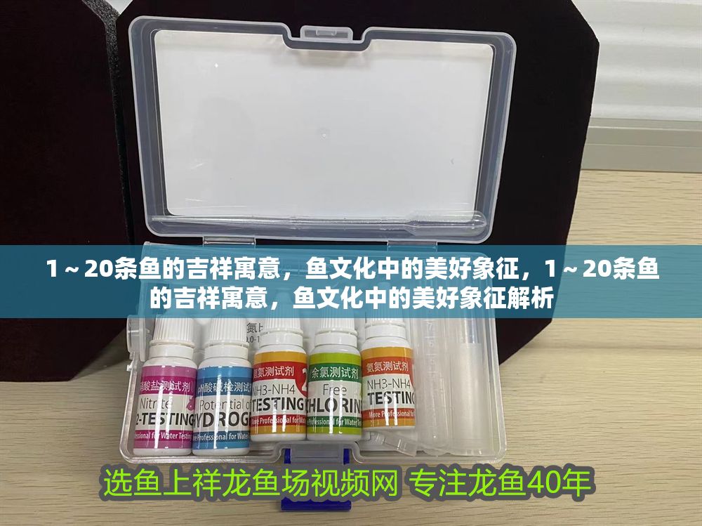 1～20條魚的吉祥寓意，魚文化中的美好象征，1～20條魚的吉祥寓意，魚文化中的美好象征解析 1～20條魚的吉祥寓意，魚文化中的美好象征，1～20條魚的吉祥寓意，魚文化中的美好象征解析 龍魚百科 第1張