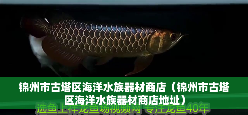 錦州市古塔區海洋水族器材商店(錦州市古塔區海洋水族器材商店地址) 全國水族館企業名錄 第2張 錦州市古塔區海洋水族器材商店(錦州市古塔區海洋水族器材商店地址) 錦州市古塔區海洋水族器材商店(錦州市古塔區海洋水族器材商店地址) 全國水族館企業名錄 第2張