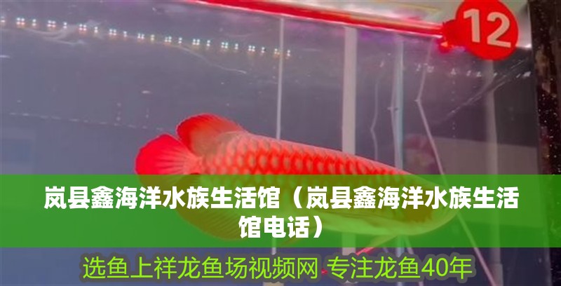 嵐縣鑫海洋水族生活館（嵐縣鑫海洋水族生活館電話）