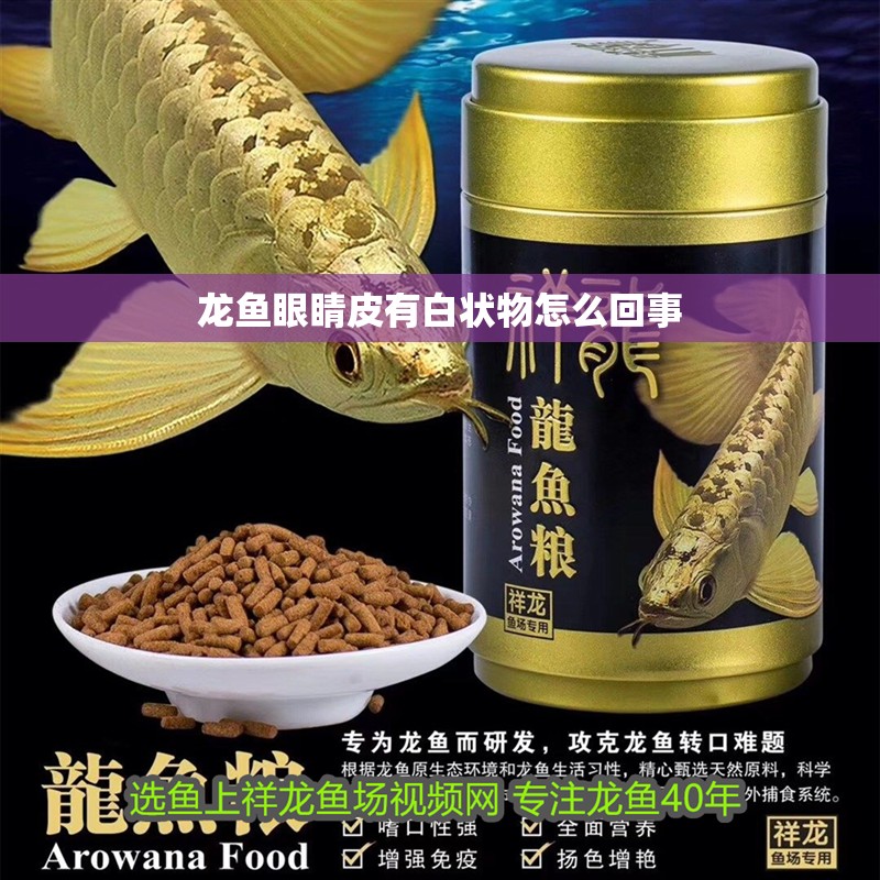 龍魚(yú)眼睛皮有白狀物怎么回事