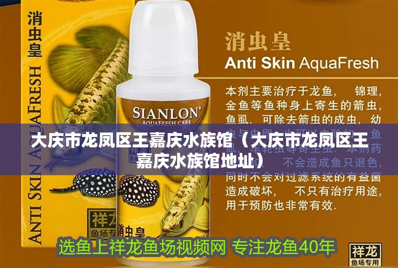 大慶市龍鳳區王嘉慶水族館（大慶市龍鳳區王嘉慶水族館地址）