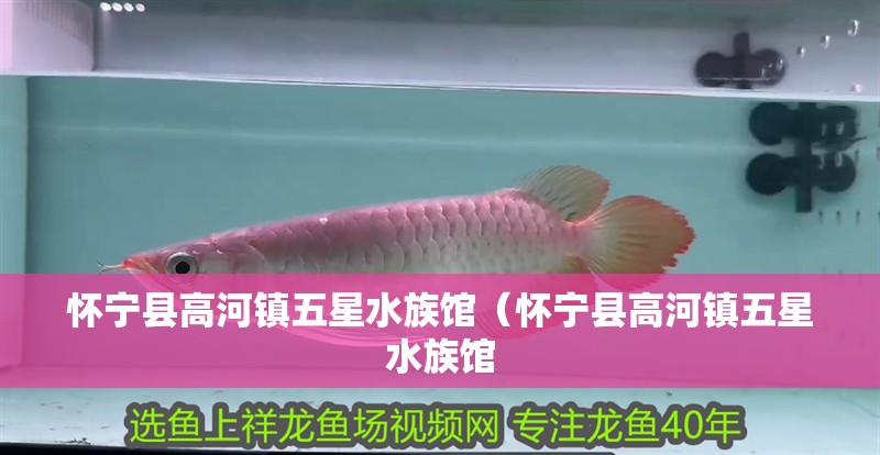 懷寧縣高河鎮(zhèn)五星水族館（懷寧縣高河鎮(zhèn)五星水族館