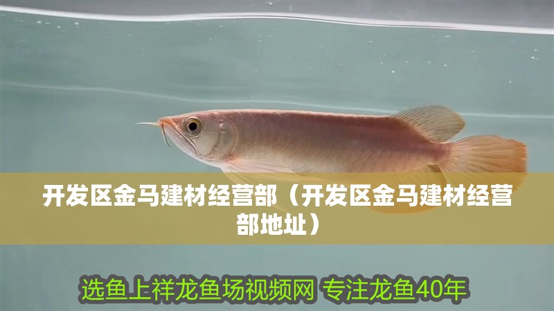 開發(fā)區(qū)金馬建材經(jīng)營(yíng)部（開發(fā)區(qū)金馬建材經(jīng)營(yíng)部地址） 開發(fā)區(qū)金馬建材經(jīng)營(yíng)部（開發(fā)區(qū)金馬建材經(jīng)營(yíng)部地址） 全國(guó)水族館企業(yè)名錄 第2張