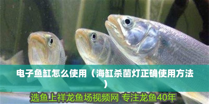 電子魚缸怎么使用（海缸殺菌燈正確使用方法）