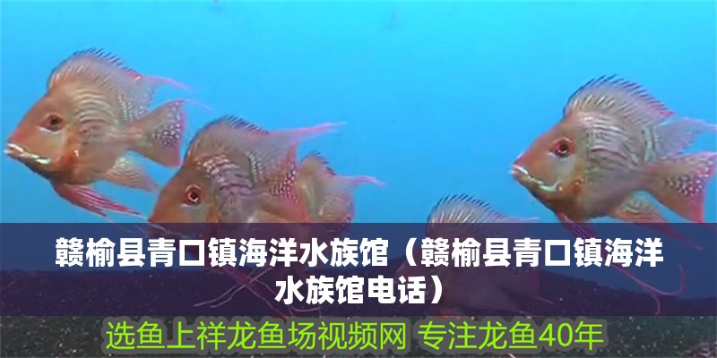 贛榆縣青口鎮海洋水族館（贛榆縣青口鎮海洋水族館電話）