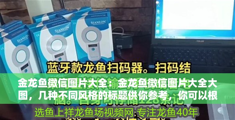 金龍魚微信圖片大全：金龍魚微信圖片大全大圖，幾種不同風格的標題供你參考，你可以根據具體使用場景進行選擇，，??超全！金龍魚微信高清大圖圖片大全來襲，??一鍵收藏！金龍魚微信專屬圖片大集合，???驚艷視覺！金龍魚微信精美圖片